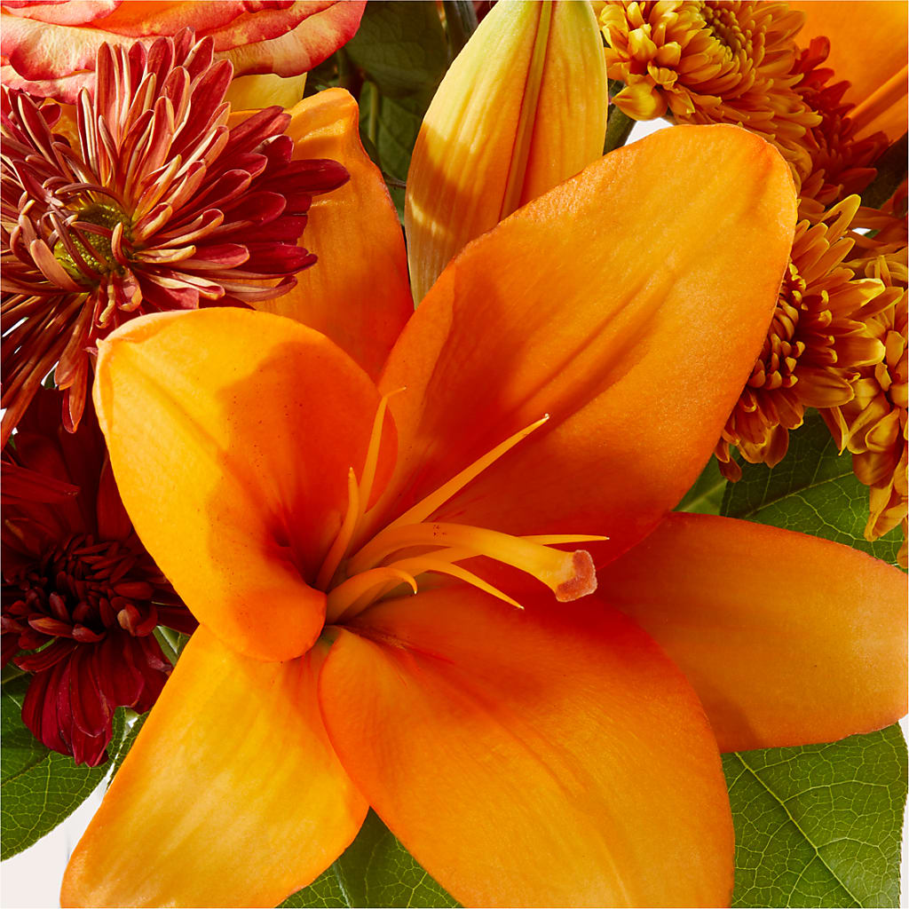Autumnal Aroma Bouquet –  South-east Flowers, Los Angeles CA