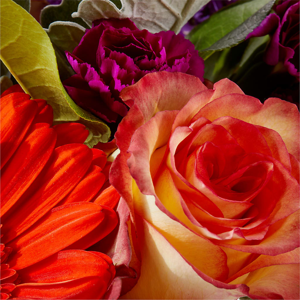 Sangria Bouquet –  South-east Flowers, Los Angeles CA