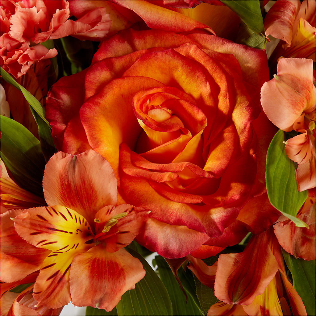 Apricot Glow Bouquet –  South-east Flowers, Los Angeles CA