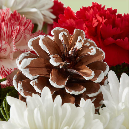 Candy Cane Lane Bouquet –  South-east Flowers, Los Angeles CA