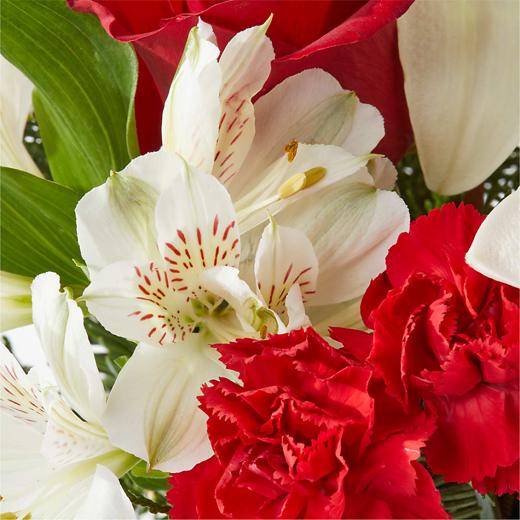 Holiday Season Bouquet –  South-east Flowers, Los Angeles CA