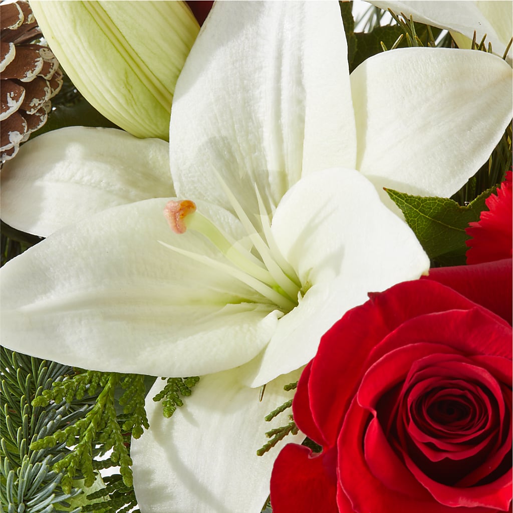 Oh So Jolly Bouquet –  South-east Flowers, Los Angeles CA