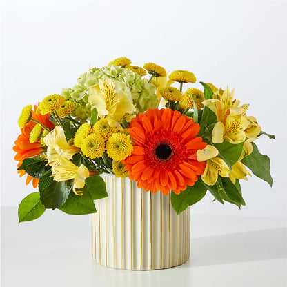 Autumn Sunshine Bouquet with Ivory Vase –  South-east Flowers, Los Angeles CA