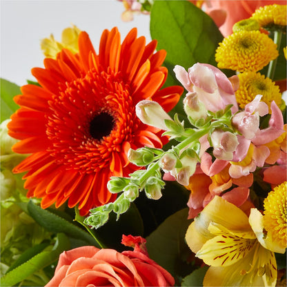 Autumn Sunshine Bouquet –  South-east Flowers, Los Angeles CA