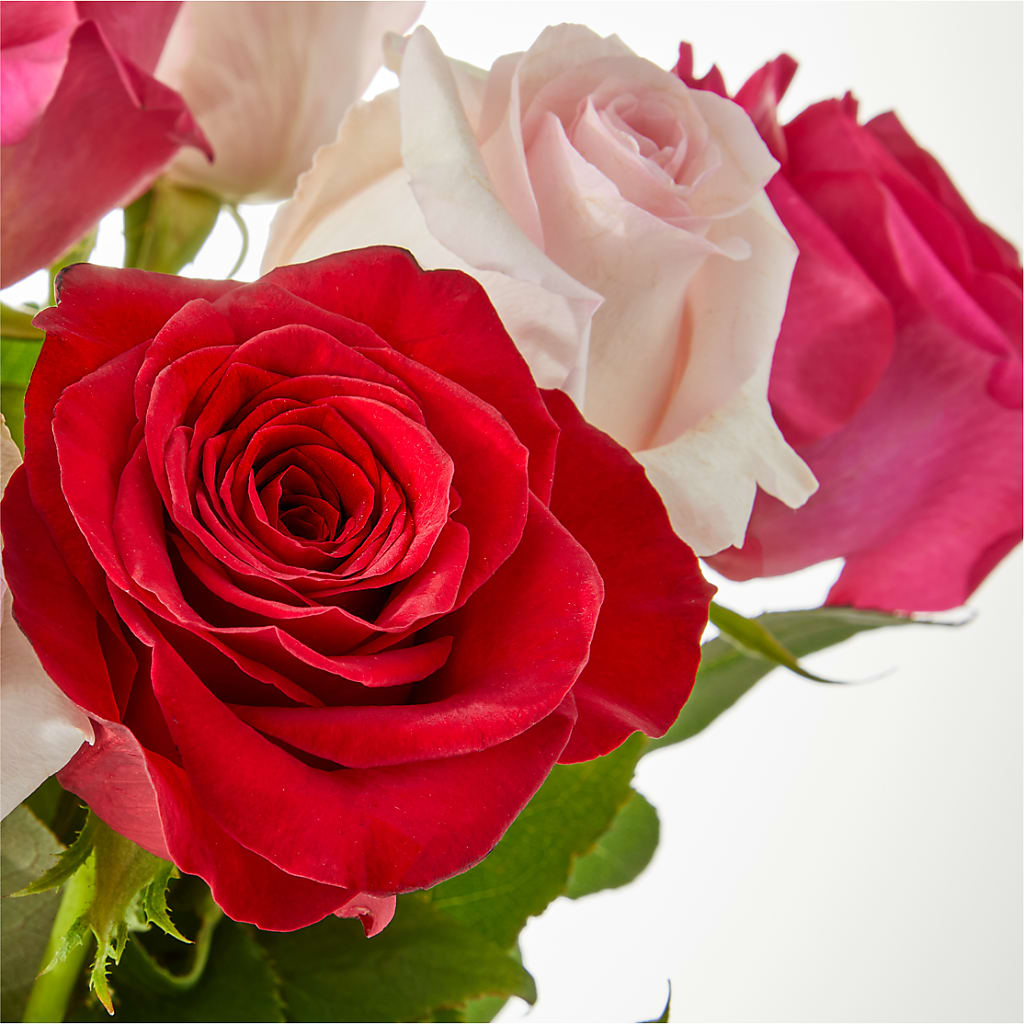 Charming Rose Bouquet –  South-east Flowers, Los Angeles CA