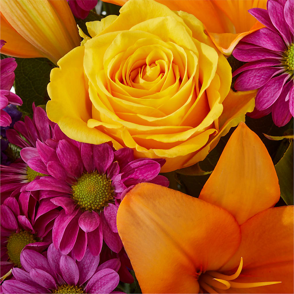 Colorful Visions Bouquet –  South-east Flowers, Los Angeles CA