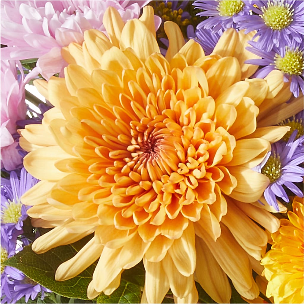Countryside Bouquet –  South-east Flowers, Los Angeles CA