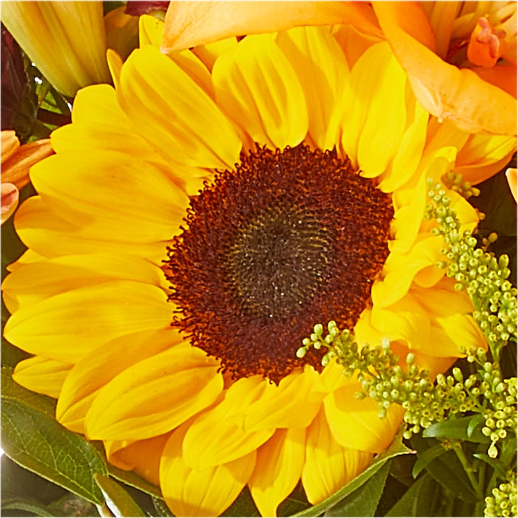 Seasons Change Bouquet –  South-east Flowers, Los Angeles CA