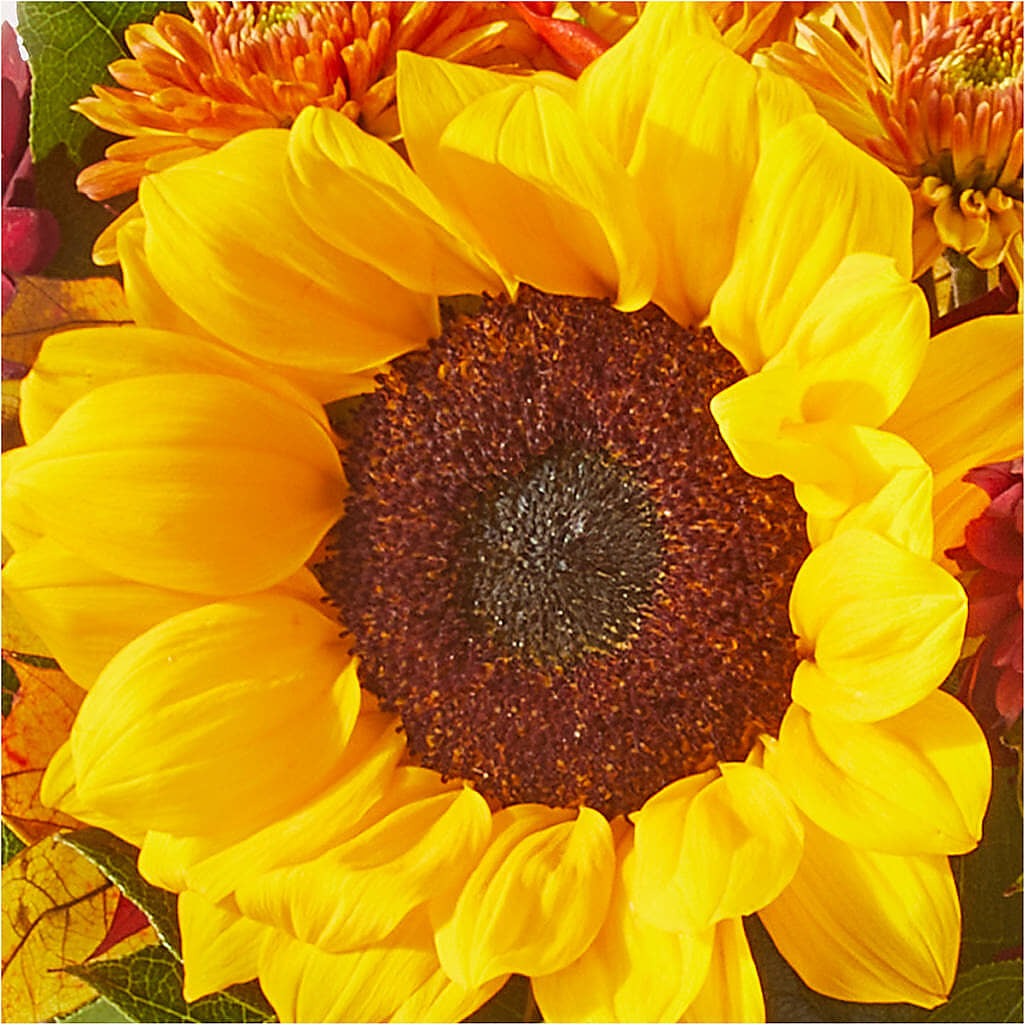 Sunny Side Bouquet –  South-east Flowers, Los Angeles CA