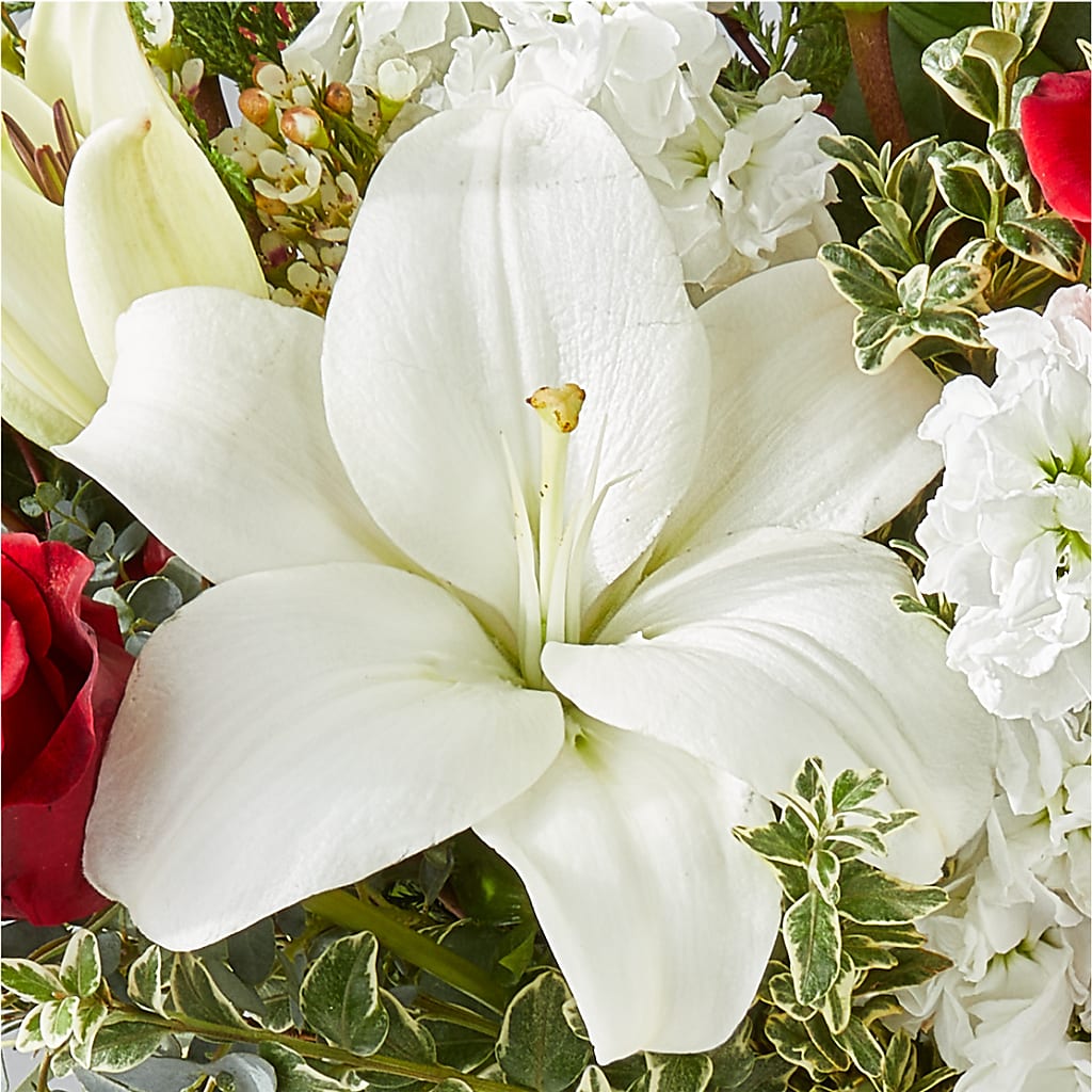 Twinkle Lights Bouquet –  South-east Flowers, Los Angeles CA