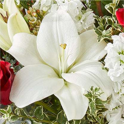Twinkle Lights Bouquet –  South-east Flowers, Los Angeles CA