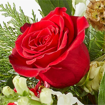 Deck the Halls Bouquet –  South-east Flowers, Los Angeles CA