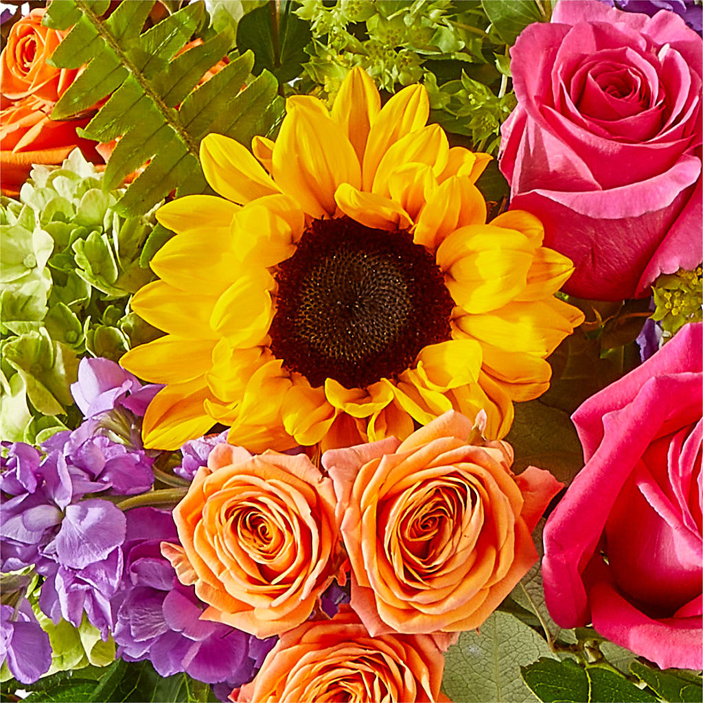 Vibrant Greetings Bouquet –  South-east Flowers, Los Angeles CA