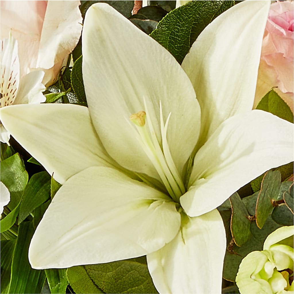 Ballet Slippers Bouquet –  South-east Flowers, Los Angeles CA