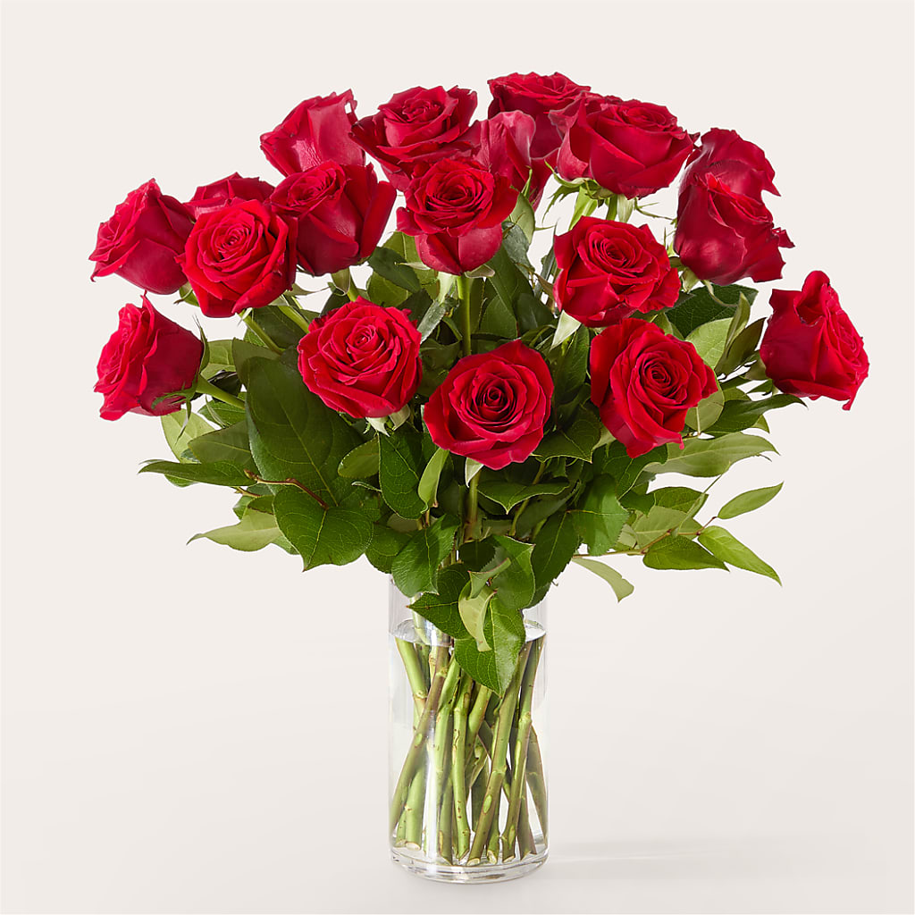 The One Red Rose Bouquet –  South-east Flowers, Los Angeles CA