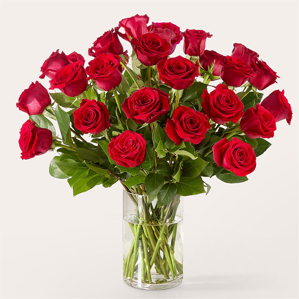 The One Red Rose Bouquet –  South-east Flowers, Los Angeles CA