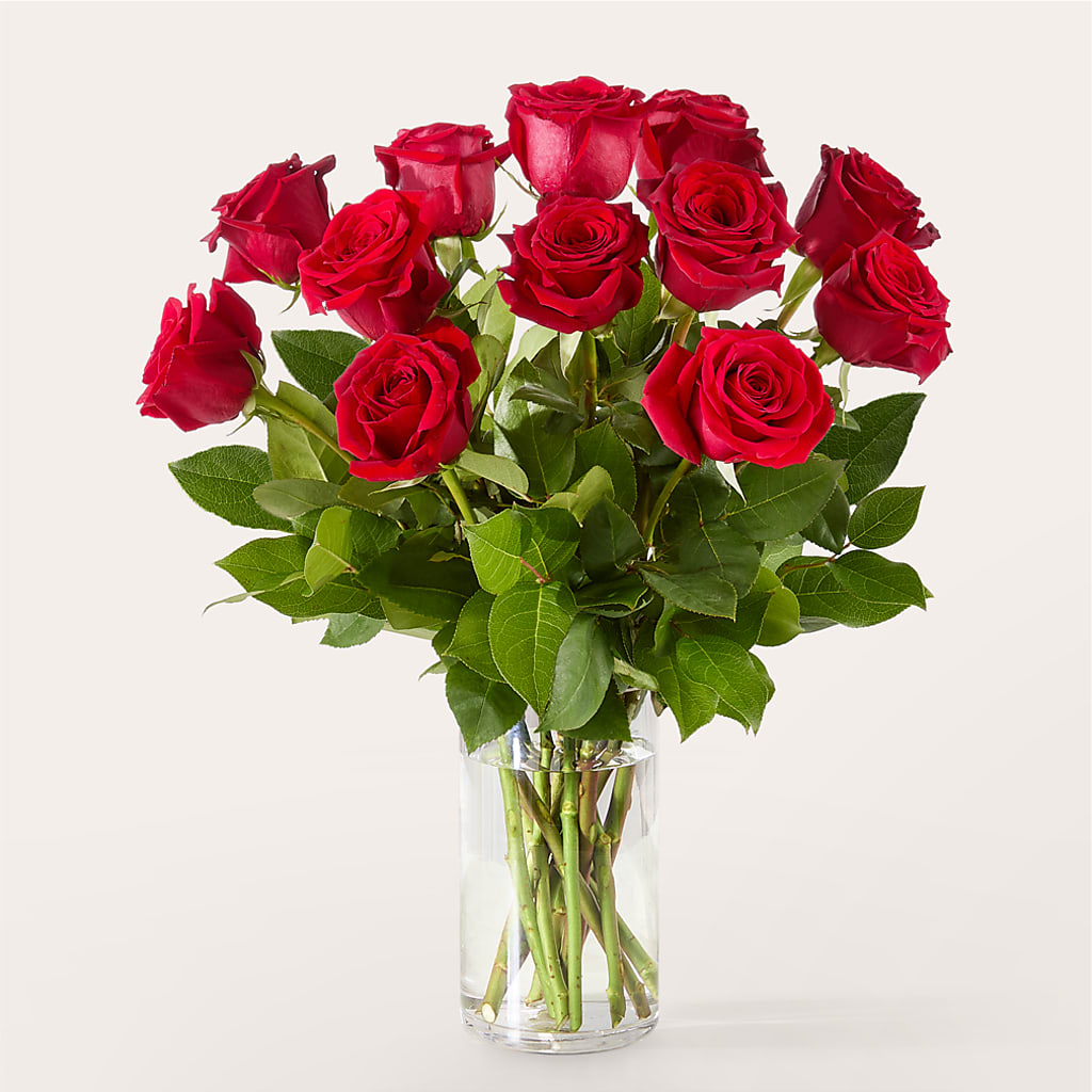 The One Red Rose Bouquet –  South-east Flowers, Los Angeles CA