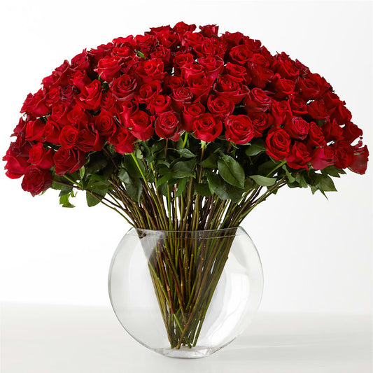 The Idealist –  South-east Flowers, Los Angeles CA