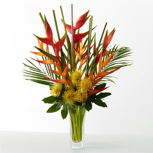 The Drama –  South-east Flowers, Los Angeles CA