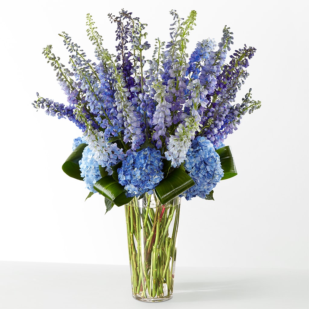 The Editorial –  South-east Flowers, Los Angeles CA