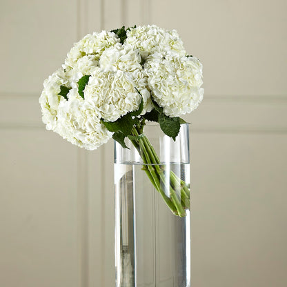 White Hydrangea Hand-Tied Bouquet –  South-east Flowers, Los Angeles CA
