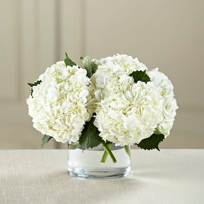White Hydrangea Bouquet –  South-east Flowers, Los Angeles CA