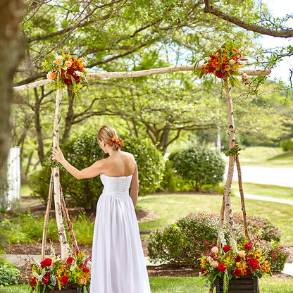 Arbor of Love Archway –  South-east Flowers, Los Angeles CA